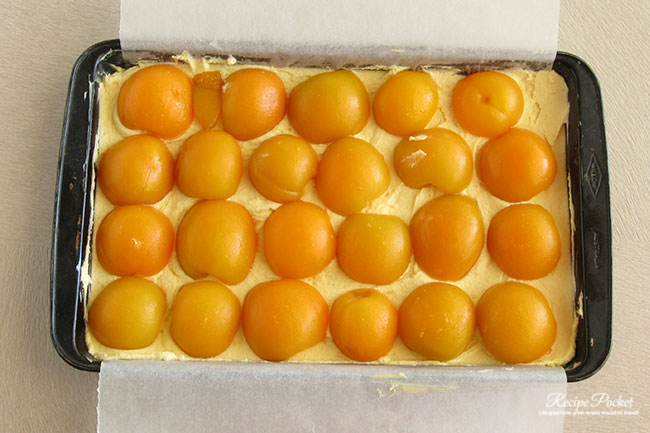 Apricot slice in the making.