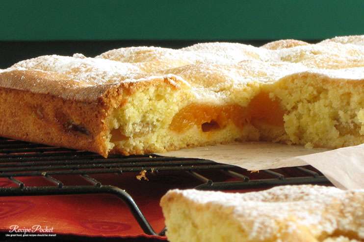 Apricot slice made without condensed milk