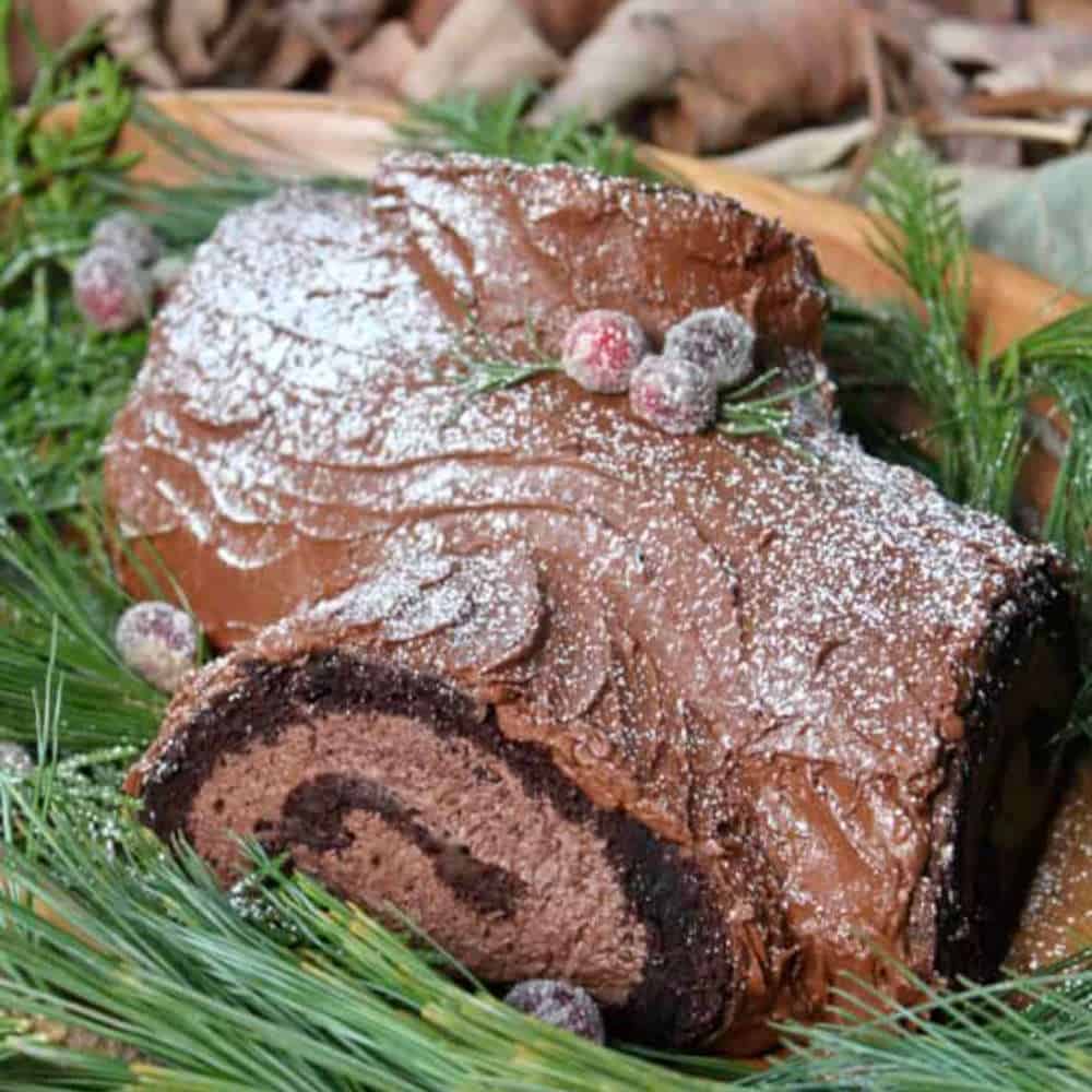 A Christmas cake made to look like a log.