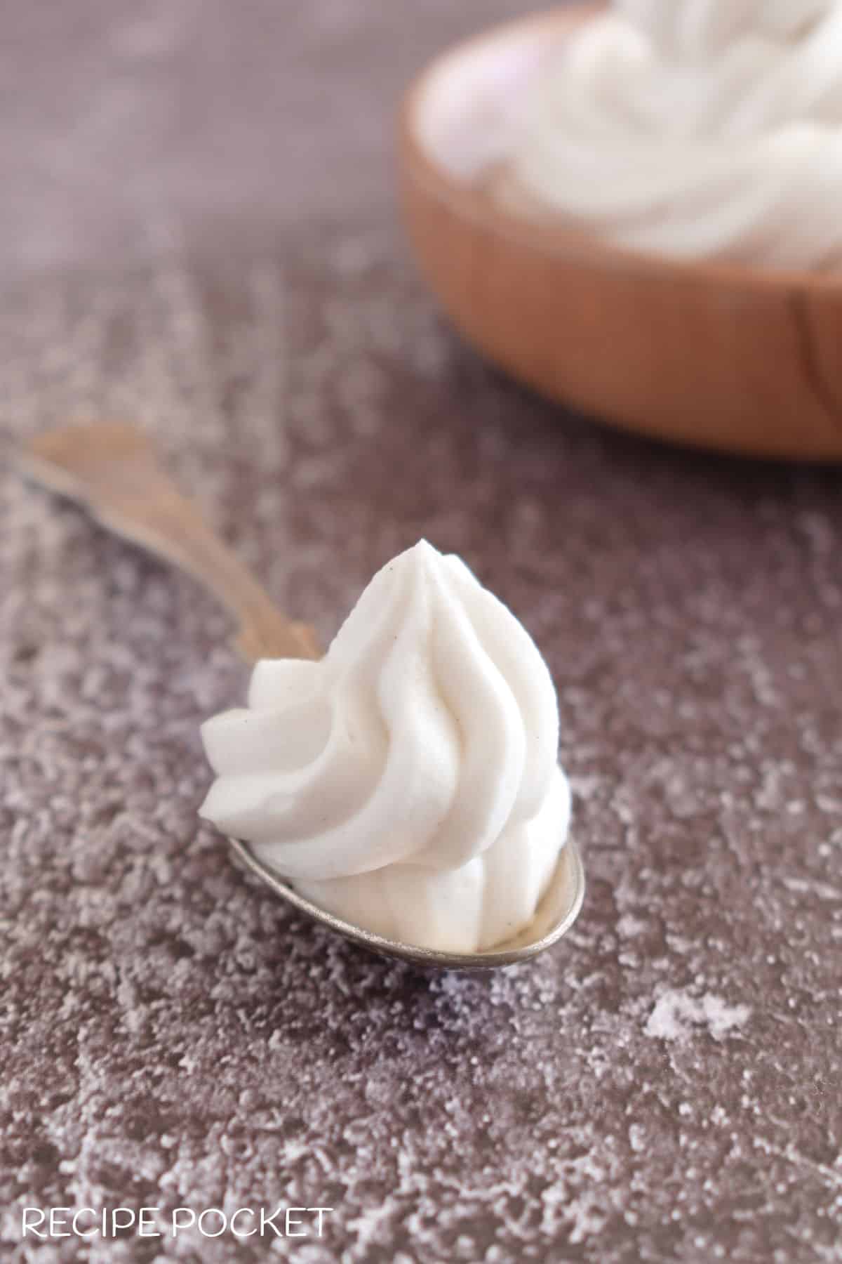 A piped swirl of thick yogurt on spoon.