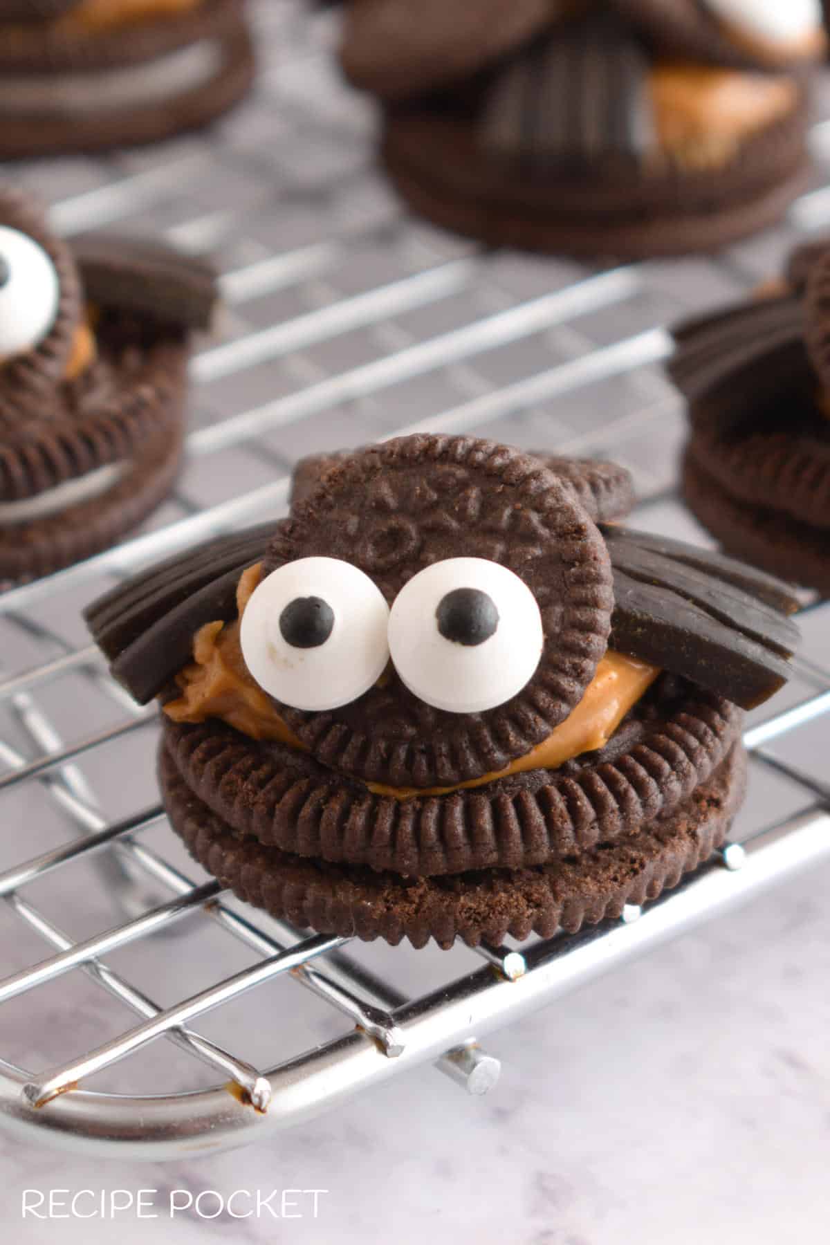 A closeup of an Oreo spider cookie.