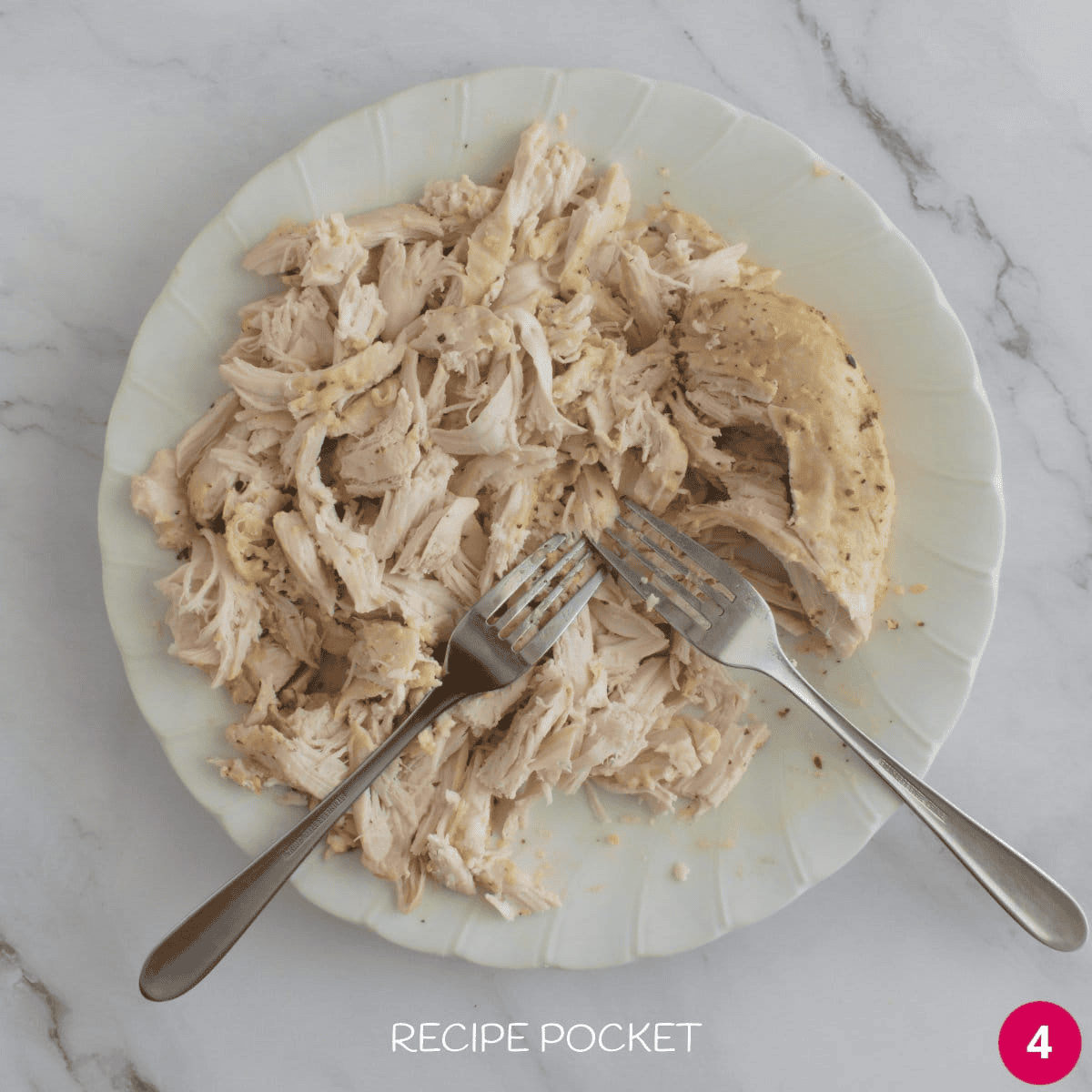 Shredded cooked chicken breast on a white plate with two forks.