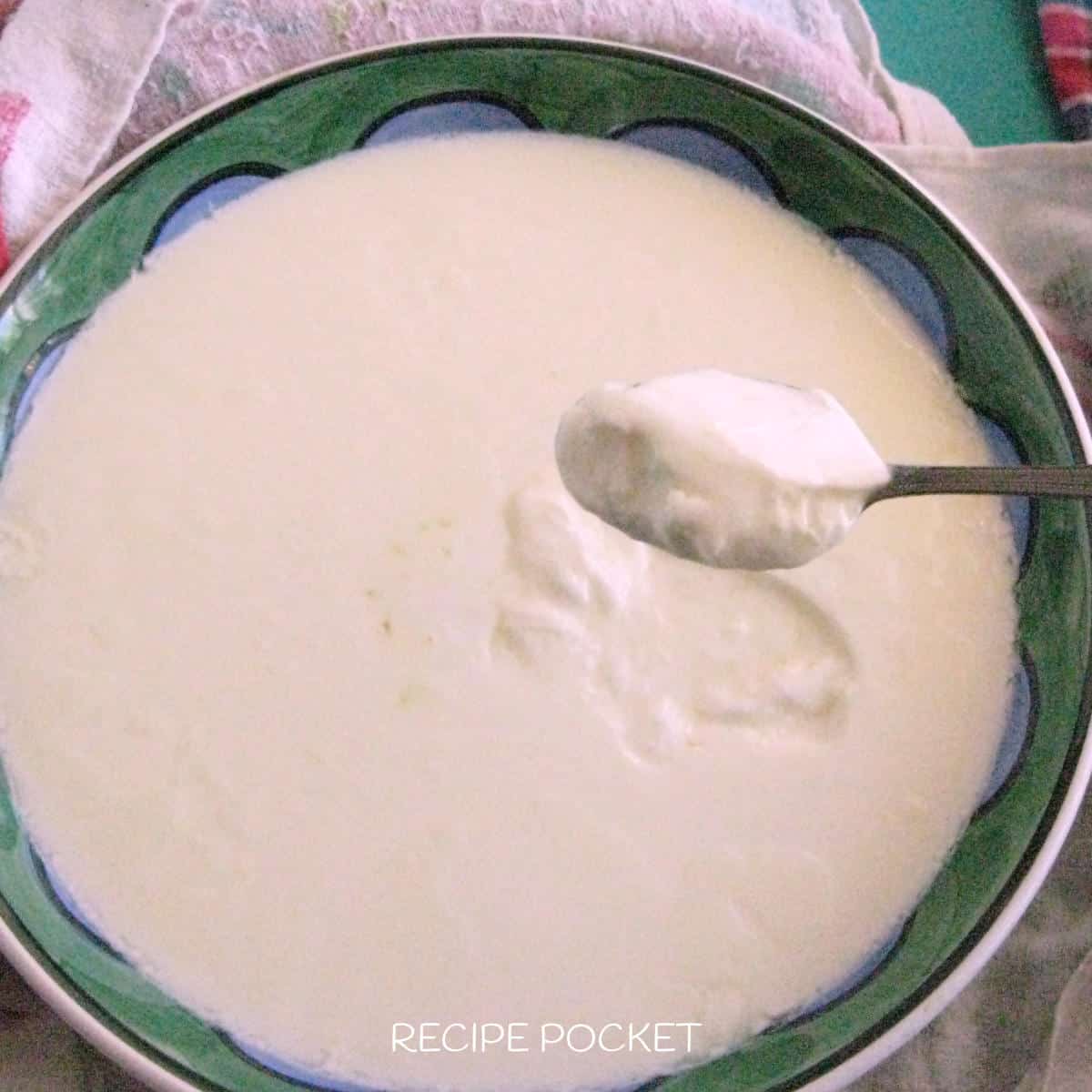 Close up of homemade yogurt on a spoon.

